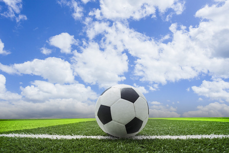 球迷观赛助手场景